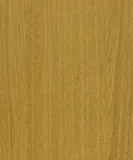 Kastamonu KA-A821-PS17-18 champagne tölgy dekor