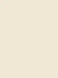 Kastamonu KA-D102-PS14-25 beige " KIFUTÓ TERMÉK" dekor