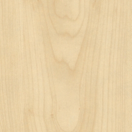 Kastamonu - A319-PS17-25 juhar