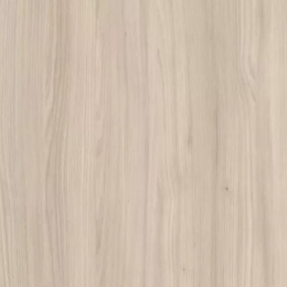 INNOVUS - M6346-SPT-18 Coastline