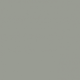 Kastamonu - D259-PS30-18 ASH GREEN