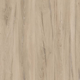 Kastamonu - A908-PS60-18 Stejar Dara