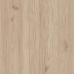 Kastamonu - A909-PS29-18 Frasin Gordon